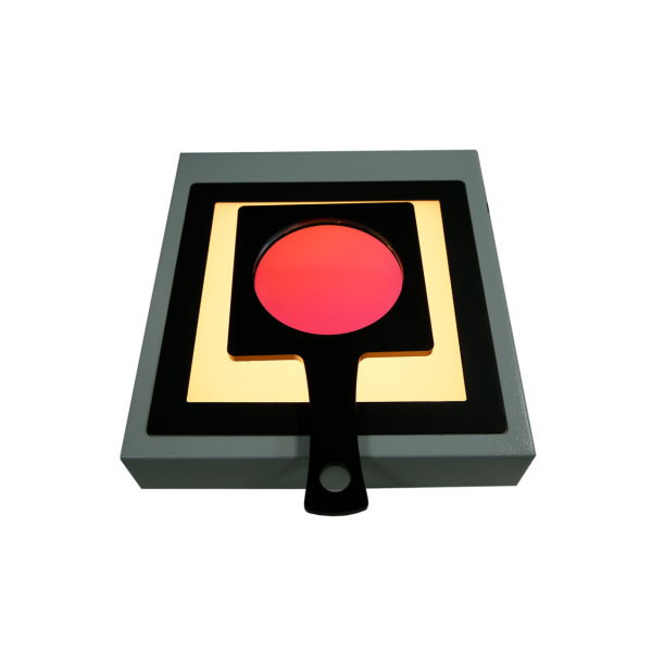 手持/分离式大尺寸偏光应力仪 PSV-202-DL